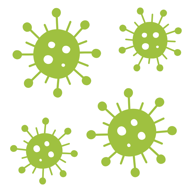Anti-Mold Protection