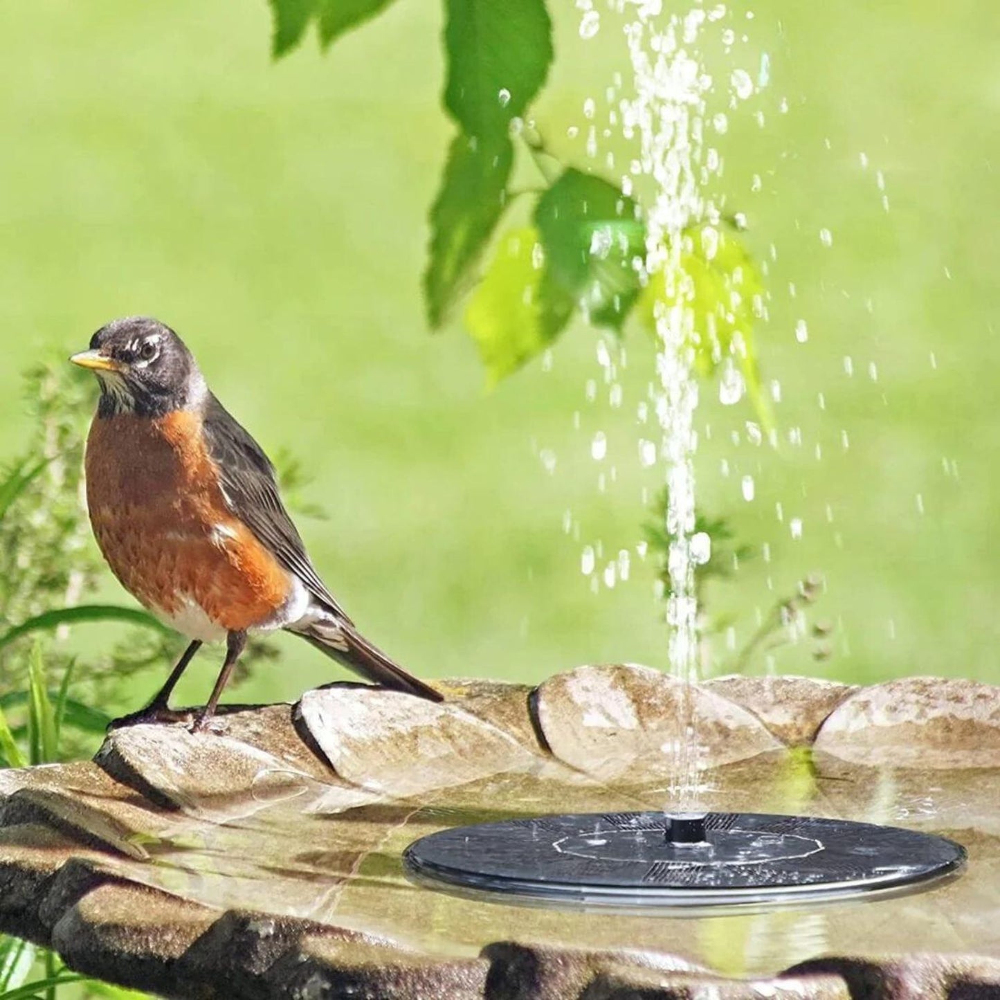 Solar Splash Fountain