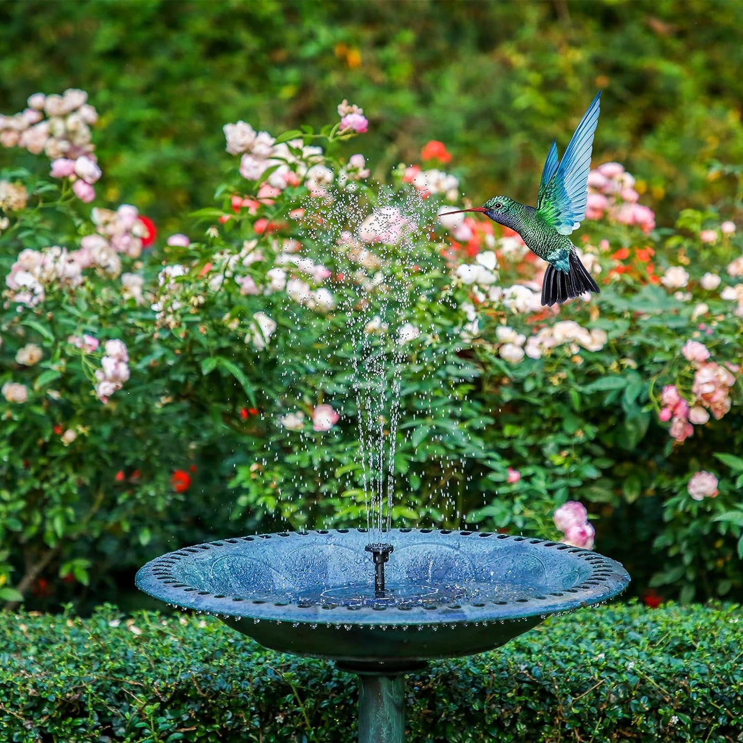 Solar Splash Fountain